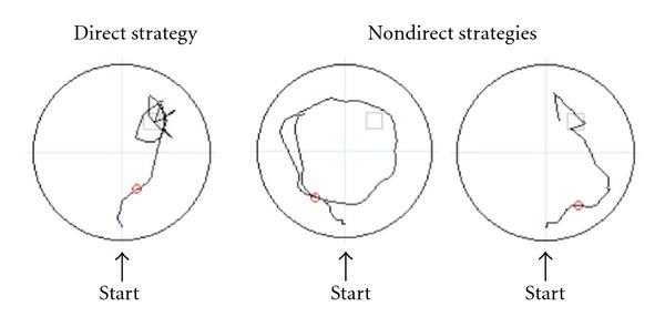 Sample strategies used by participants during the WMT Probe trial. For the direct strategy (left), participants navigated directly to the platform, and for the nondirect strategy (right), participants navigated in a circuitous or random route that was not in the direction of the platform quadrant.