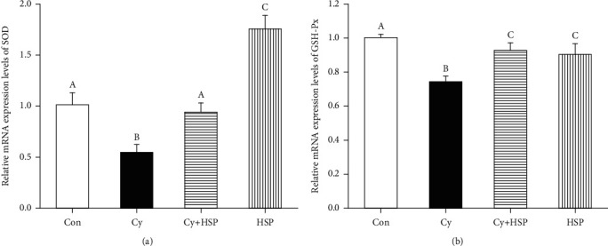 Effect of hemp seed polysaccharide on the expression levels of antioxidant genes SOD (a) and GSH-Px (b) in the ileum of mice. Each bar represents mean ± SEM (n = 10). Bars with different letters (A, B, and C) are statistically different (p < 0.05).
