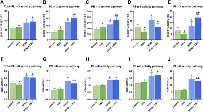 The activity of polyunsaturated fatty acids (PUFAs) n-3 and n-6 pathways in total phospholipid fraction (Total PL) (A,F) and various phospholipid subclasses, i.e., phosphatidylcholine (PC) (B,G), phosphatidylethanolamine (PE) (C,H), phosphatidylserine (PS) (D,I), and phosphatidylinositol (PI) (E,J) in the control group (rats fed a standard chow) and high-fat-high-sucrose diet (HFHS) group after 2-week cannabigerol (CBG) administration in the red gastrocnemius muscle. The activity of the n-3 pathway was calculated as the sum of eicosapentaenoic acid (C20:5) and docosahexaenoic acid (C22:6) contents divided by linolenic acid (C18:3) content. The activity of the n-6 pathway was calculated as the content of arachidonic acid (C20:4) divided by the content of linoleic acid (C18:2). The data are expressed as mean values ±SD and are based on ten independent determinations in each group (n = 10); ap < 0.05 indicates a significant difference: the control group vs the examined group; bp < 0.05 indicates a significant difference: HFHS group vs. HFHS + CBG group.