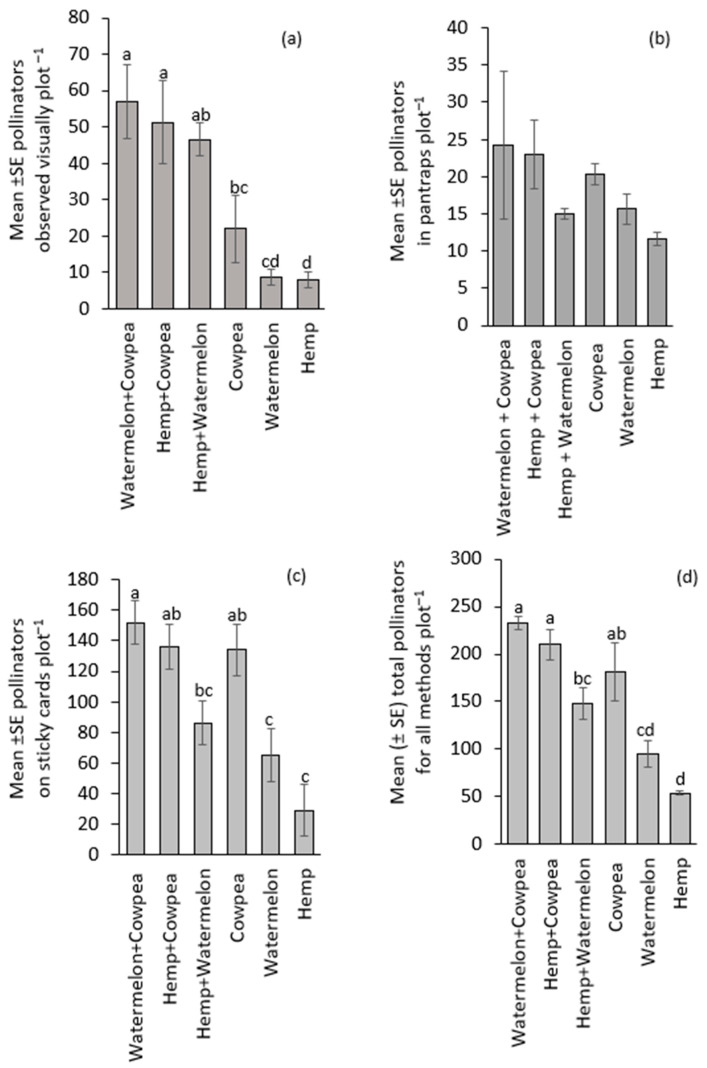 Pollinator abundance observed visually through (a) direct visual counts, (b) pan traps, (c) sticky cards, and (d) all three sampling methods combined. Treatment means (bars) within each graph followed by the same letter(s) are not significantly different (Sidak-adjusted p-value to correct for family-wise error, p > 0.05). The absence of letters above the bars indicates that no statistically significant differences were found among the treatments (p > 0.05).