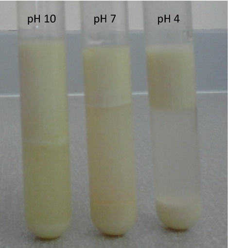 Effect of pH on creaming stability of oil-in-water emulsions (lupin) standing at room temperature for 24 h.