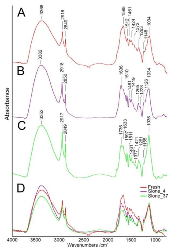 Averaged FT-IR spectra of Fresh (A), Slone_4 (B) and Slone_37 (C) samples, (D) overlaid spectra. All spectra are normalized to the 2918 cm−1 band.