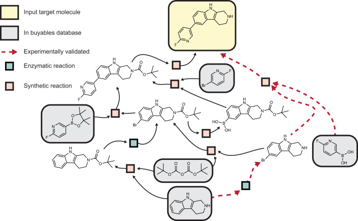 Example hybrid pathway search results for fluoropyridinyl tryptoline.Pathways displayed from a pathway search using the enzymatic and synthetic template prioritizers (see Methods and SI for more details). Some reactions are removed from the graph for visual clarity. The recovered experimentally validated pathway from ref. 56 is highlighted with red dashes.