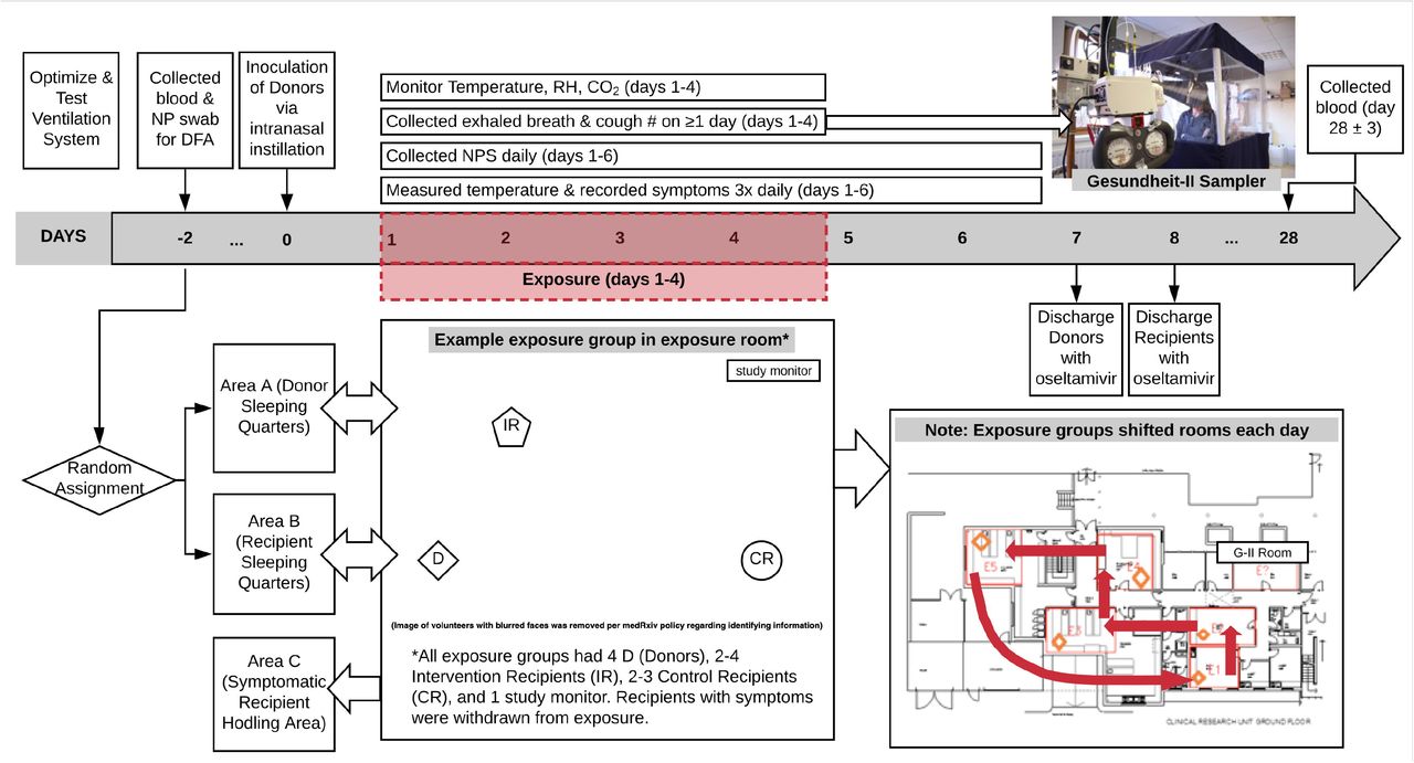 Schematic of study design showing timelines, environmental controls and monitoring, physical segregation arrangements, exposure intervention, and volunteer movements during quarantine study. DFA: direct fluorescence assay; RH: relative humidity; NPS: nasopharyngeal swab.