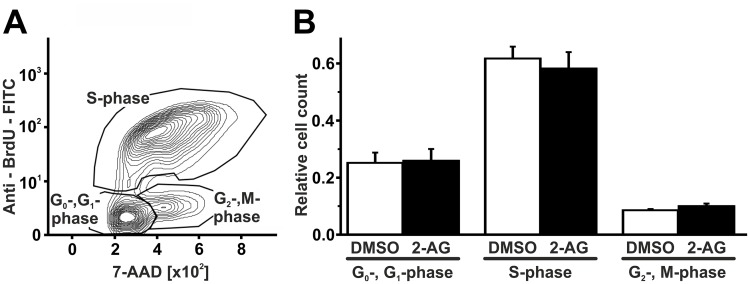 2-AG does not influence proliferation of B6MCL macrophages.B6MCL macrophage proliferation was assessed using a flow cytometry-based BrdU assay. There were no changes in cell cycle distribution following treatment with 2-AG [1μM] for 60 minutes. Data are presented as mean ± standard error of the mean; n = 3; p > 0.05, assessed by ANOVA and Bonferroni correction. 2-AG, 2-arachidonoylglycerol; 7-AAD, 7-Aminoactinomycin D; BrdU, bromodeoxyuridine; DMSO, dimethyl sulfoxide.