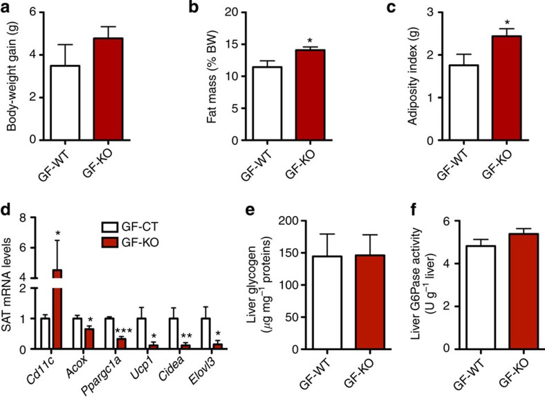 Gut microbiota transfer to germ-free (GF) mice reproduces part of the phenotype.(a) Body-weight gain (g) after gut microbiota transfer to germ-free mice (n=7). (b) Fat mass weight in percentage of body weight after gut microbiota transfer to germ-free mice (%; n=7). (c) Adiposity index (g) after gut microbiota transfer to germ-free mice (n=7). (d) mRNA expression of Cd11c, Acox, Ppargc1a, Ucp1, Cidea and Elovl3 in SAT (n=7). (e) Liver glycogen content (μg per mg proteins; n=7). (f) Liver G6Pase activity (U per g liver; n=7). Data are presented as mean±s.e.m. Data with *P<0.05, **P<0.01 and ***P<0.001 are significantly different according to the unpaired two-tailed Student’s t-test.