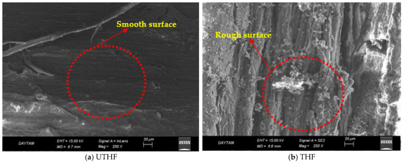 SEM images of untreated and treated hemp fibers.