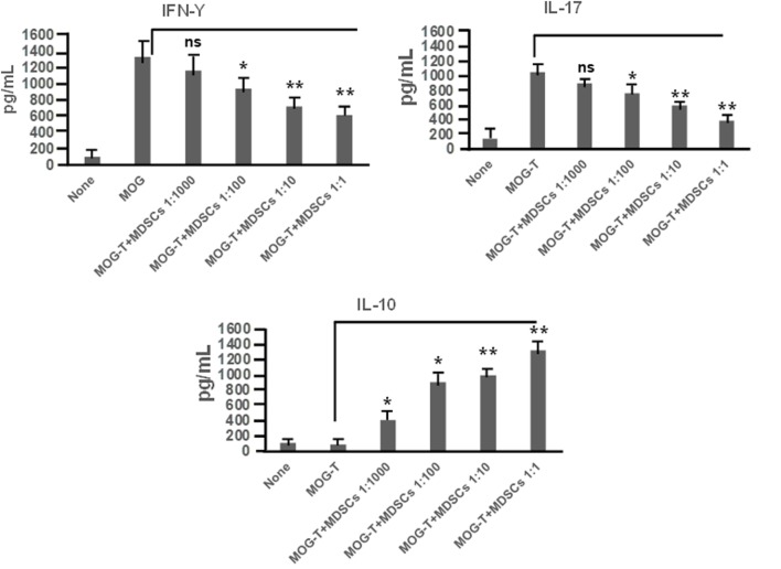 Cannabidiol (CBD)-induced myeloid-derived suppressor cells (MDSCs) alter MOG-stimulated T cell inflammatory cytokine secretion. Regulatory function of CBD-induced MDSCs was tested using ex vivo restimulation of experimental autoimmune encephalomyelitis (EAE)-VEH splenocytes in the presence of MOG35–55 (30 μg/mL) for 3 days, as detailed in Figure 3 legend. Culture supernatants were collected and analyzed for IFNγ, IL-17, and IL-10. Data represented as mean ± SEM. ANOVA, **p < 0.001, and *p < 0.05 with Tukey’s post hoc test.
