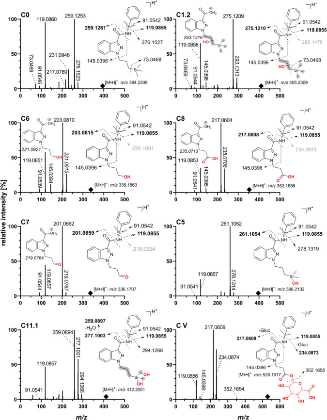 Product ion spectra and suggested fragmentation patterns of Cumyl-3TMS-PrINACA and its most abundant metabolites (autoMS/MS) obtained by LC-QToF-MS in positive HESI mode. Structural fragment ions in bold represent those with the highest intensities, suggested as markers for screening. Fragments with m/z values in italics indicate a possible “N–O-exchange”, and therefore, presumed fragments shown in light gray are not present in the fragmentation spectra (Figs. S5 and S6). Squares denote the precursor ion. The collision energy was dependent on the precursor mass, with 25 eV for m/z 300 and 32 eV for m/z 500
