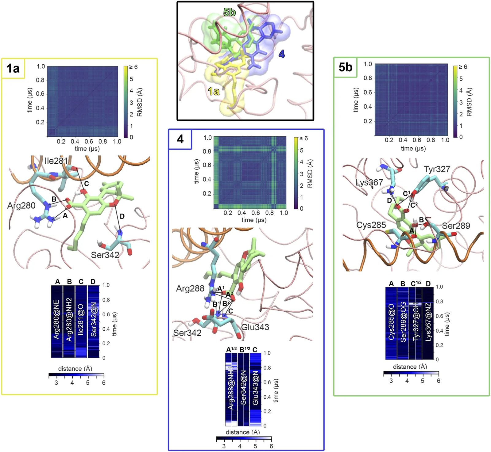 Composite scientific figure showing three molecular binding pockets, each with a representative structural diagram highlighting amino acid interactions, a color-coded root-mean-square deviation (RMSD) heatmap, and a distance matrix chart. The regions are labeled 1a (yellow), 4 (blue), and 5b (green), each boxed and color-coded, with interacting residues and binding sites annotated. The center panel overlays all three regions in a single protein structure, indicating their spatial relationship and showing them in yellow, blue, and green.