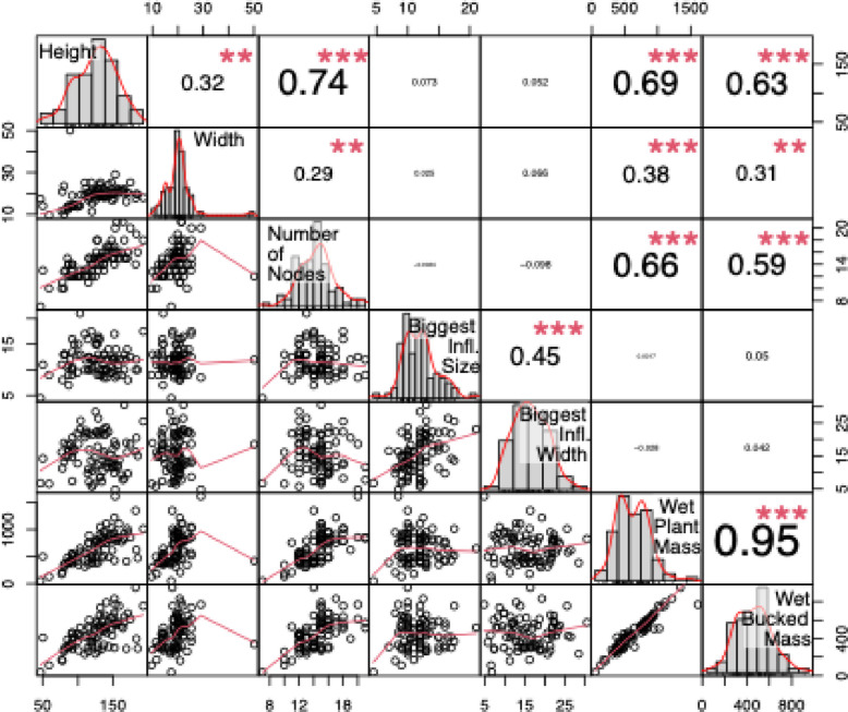 Pairwise relationships among the seven harvest-stage traits measured in photoperiod plants. Each diagonal panel displays the distribution of an individual trait using a histogram with an overlaid density curve. The panels below the diagonal show bivariate scatterplots with fitted smoothing lines to illustrate the form and direction of each relationship. The panels above the diagonal report the Pearson correlation coefficients together with their statistical significance. Significance levels are denoted as follows: *** (p ≤ 0.001), ** (p ≤ 0.01), * (p ≤ 0.05),. (p ≤ 0.1), and a blank space for nonsignificant values (p > 0.1). Collectively, the matrix summarizes the strength, pattern, and statistical support for trait associations in photoperiod plants
