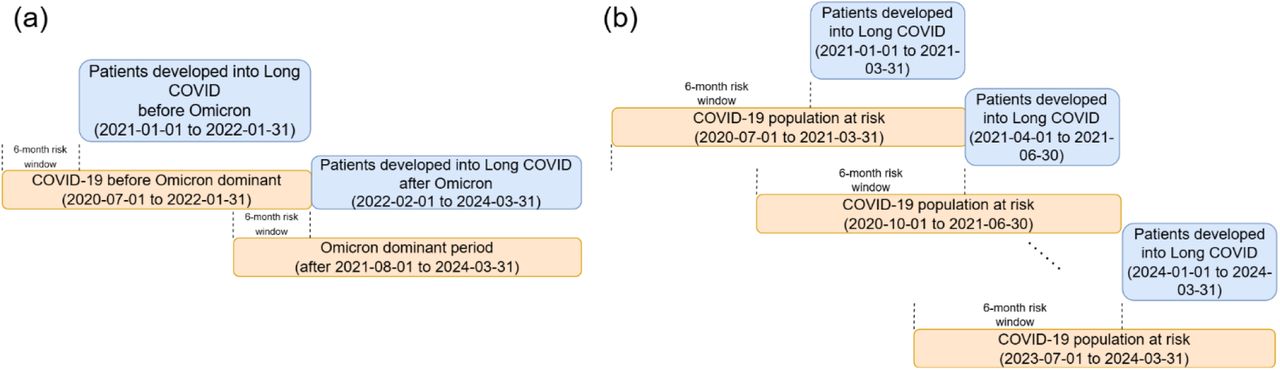 Dynamic incidence risk calculation. (a) The incidence of long COVID before and after the emergence of the Omicron variant in January 2022; and (b) The quarterly incidence of long COVID between 2021 and 2024.