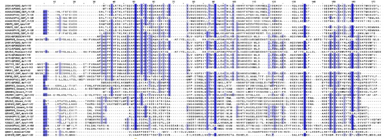 Multiple sequence alignment of 43 OBPs from honeybee. The residues shown in blue color depicts conserved residues within the group of organisms.