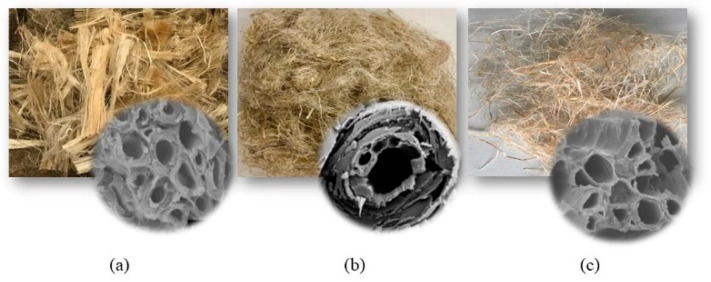 Short (a) kenaf, (b) flax and (c) hemp fibers and cross section of a fiber bundle (modified illustration [6]).