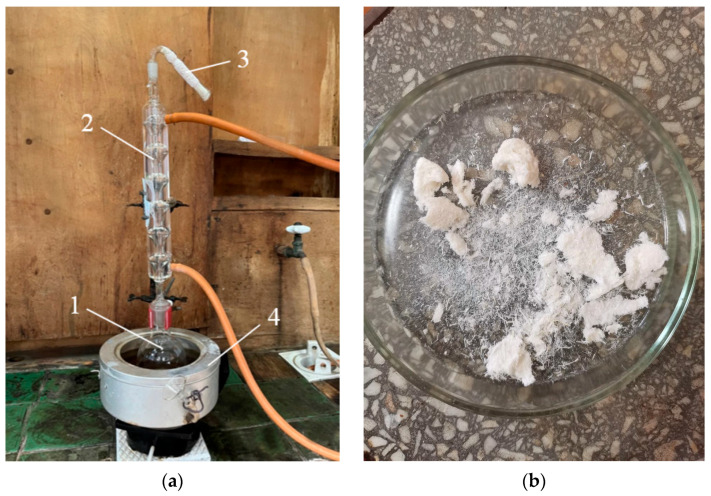 Apparatus for determining cellulose content (a), where 1—round-bottomed flask, 2—reflux condenser, 3—calcium chloride tube, 4—water bath. Cellulose after nitric acid hydrolysis (b).