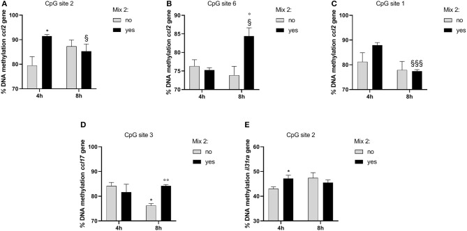 The effects of the nutraceutical mixture on modulated gene CpG island methylation in DH82 cells. Inflamed cells were treated (Mix yes) or not (Mix no) with nutraceutical mixture (Mix 2) for 4 and 8 h. The bar graphs represent the mean + SEM of three independent experiments performed in triplicate. The figure shows the methylation percentage with respect to ccl2 (A–C), ccl17 (D), and il31ra (E) expressed as methylated cytosine/methylated cytosine + unmethylated cytosine. The statistically significant differences between experimental conditions are reported as follows: *p < 0.05; §p < 0.05, §§§p < 0.001 vs. yes mix 4 h; °p < 0.05, °°p < 0.01 vs. no mix 8 h.