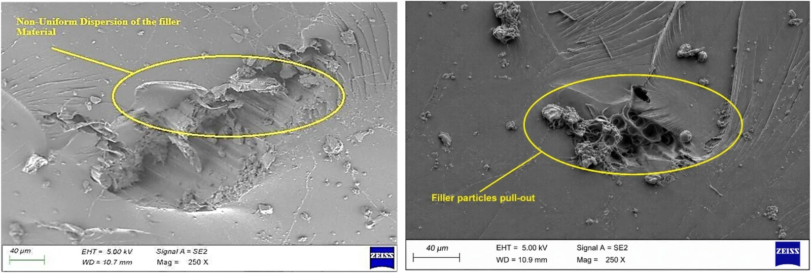 SEM images of 30% SG-HP + E/15%AA.