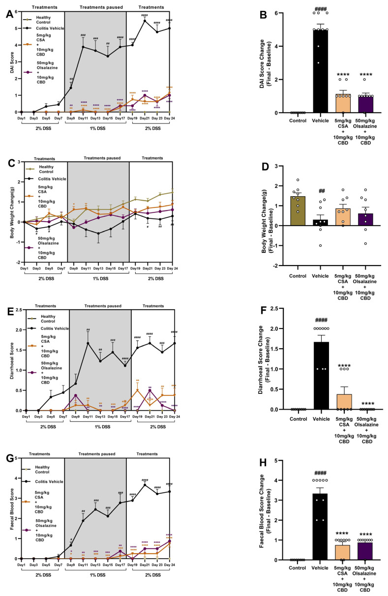Cannabinoid-based combination therapy attenuates clinical disease parameters in chronic DSS-induced colitis. Mice received 2% DSS from days 1–7, 1% DSS from days 8–17 (treatment pause, shaded), and 2% DSS from days 18–24. Panels (A,C,E,G) show time courses of DAI, body weight change, diarrhoea score, and faecal blood score, respectively; panels (B,D,F,H) depict final changes from baseline at day 24. Data are presented as mean ± SEM. Statistical significance: # p < 0.05, ## p < 0.01, ### p < 0.001, #### p < 0.0001 vs. healthy control; and * p < 0.05, ** p < 0.01, *** p < 0.001, **** p < 0.0001 vs. vehicle.