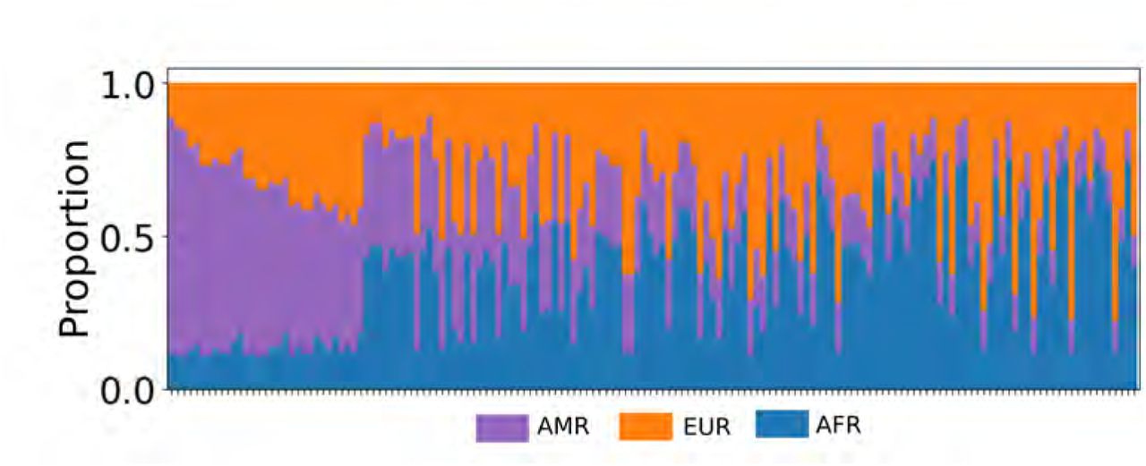 Details of the ancestry components in multi-way admixture.To facilitate proper visualization of the patterns of admixture, we provide here a magnification of part of Figure 1B
