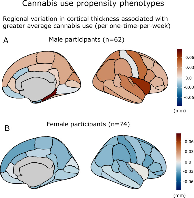 Regional effect estimates for cannabis use propensity phenotypes in male and female participants.Regional variation in cortical thickness associated with greater average cannabis use (effect scaled to depict the effect of greater cannabis use of once-per-week) in (A) male participants, and B female participants. Models control for image quality, intracranial volume, age, region and alcohol use.