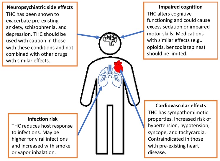 Representation of main adverse effects of tetrahydrocannabinol use that can be potentiated by other medications.