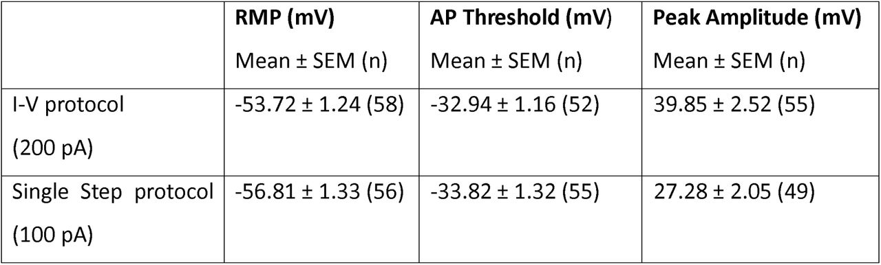 Summary of action potential properties