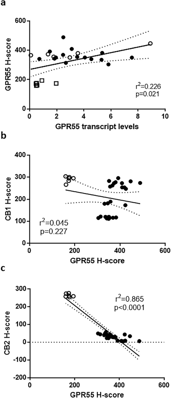 Correlation analysis between GPR55 transcript levels and protein levels and between GPR55 receptor and CB1/CB2 receptor protein levels. Panel a shows raw data for the protein levels (H-score) for the entire tissue of control (open squares), Type 1 EC (filled circles) and Type 2 EC (open circles) tissues plotted against transcript levels for the same patient. Panel b shows the correlation between GPR55 protein levels (H-score) for the entire tissue of control (atrophic; open circles) or EC (both Type 1 and Type 2 EC; filled circles) plotted against CB1 protein levels (H-score). Panel c shows similar data between GPR55 protein levels (H-score) for the entire tissue of control (atrophic; open circles) or EC (both Type 1 and Type 2 EC; filled circles) plotted against CB2 protein levels (H-score) for the same patient. Pearson correlation was performed and the line of best fit (solid line) with the 95% confidence intervals for the regression line (dotted lines) plotted. The correlation coefficient (r2) and p value are also presented. The H-score data for CB1 and CB2 immunohistochemical staining is shown in Electronic Supplementary Material, Fig. 1