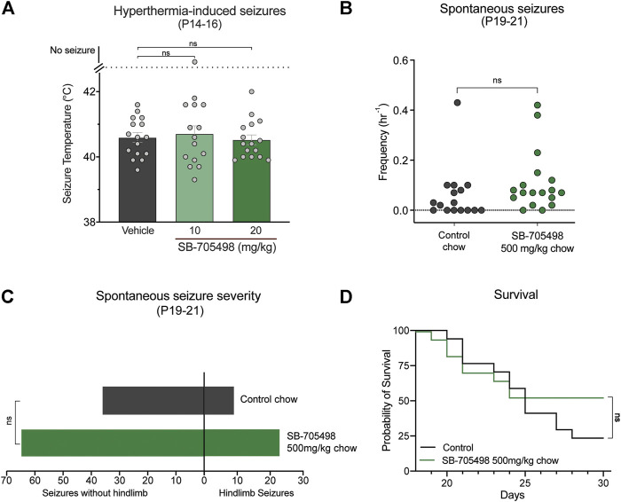 Trpv1 receptor inhibition did not have anticonvulsant effects in the F1.Scn1a +/− mice. (A) GTCS temperature threshold of individual P14–16 F1.Scn1a +/− mice induced by hyperthermia following acute i. p. treatment with vehicle or varying doses of SB-705498. SB-705498 had no effect on temperature thresholds. The average temperatures of seizure induction are depicted by the bars and the error bars represent SEM, with n = 14–16 per group [vehicle = 40.6 ± 0.15, 10 mg/kg = 40.6 ± 0.2, 20 mg/kg = 40.5 ± 0.1; p > 0.05, Log-rank (Mantel–Cox) test]. Effect of SB-705498 on spontaneous seizures were determined in a separate cohort of P19–21 F1.Scn1a +/− mice. (B) GTCS frequency of individual control-treated and SB-705498-treated F1.Scn1a +/− mice. Drug treatment administered orally through supplementation in chow was initiated following the induction of a single hyperthermia-induced GTCS on P18. Unprovoked, spontaneous GTCSs were quantified over a 60 h recording period. SB-705498 subchronic treatment did not affect spontaneous seizure frequency, with n = 16–18 per treatment (control chow = 0.06 ± 0.03/h, 500 mg SB-705498/kg chow = 0.11 ± 0.03/h; p = 0.2, unpaired t-test). (C) Number of GTCS with and without full tonic hindlimb extension is depicted. Seizure severity was not affected by subchronic SB-705498 treatment, with n = 16–18 per group (control chow = 9 hindlimb seizures of 45 seizures, 20%; 500 mg/kg SB-705498 supplemented chow = 23 hindlimb seizures of 88 seizures, 26%; p = 0.7, Chi-square test). (D) Survival curves comparing control-treated and SB-705498-treated mice. Treatment began at P18 and survival was monitored until P30. SB-705498 had no effect on survival of F1.Scn1a +/− mice, with n = 16–18 per treatment (p = 0.18, Log-rank Mantel-Cox).