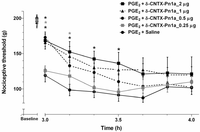 δ-CNTX-Pn1a antinociceptive effect following prostaglandin E2-induced hyperalgesia. Prostaglandin E2 (PGE2) (2 µg/paw) was administered through intraplantar injection. Rats received 0.25, 0.5, 1 and 2 µg of δ-CNTX-Pn1a (0.05, 0.1, 0.2 and 0.4 nmol) or saline (control) through intrathecal administration, 2 h and 55 min after PGE2 injection. Nociceptive threshold was measured every 10 min, starting 5 min after peptide or saline injections. Each symbol represents MEAN ± SEM. n = 4 rats per group. Data were analyzed using ANOVA, and Bonferroni post-test. p < 0.05 compared to PGE2 + Saline (*).