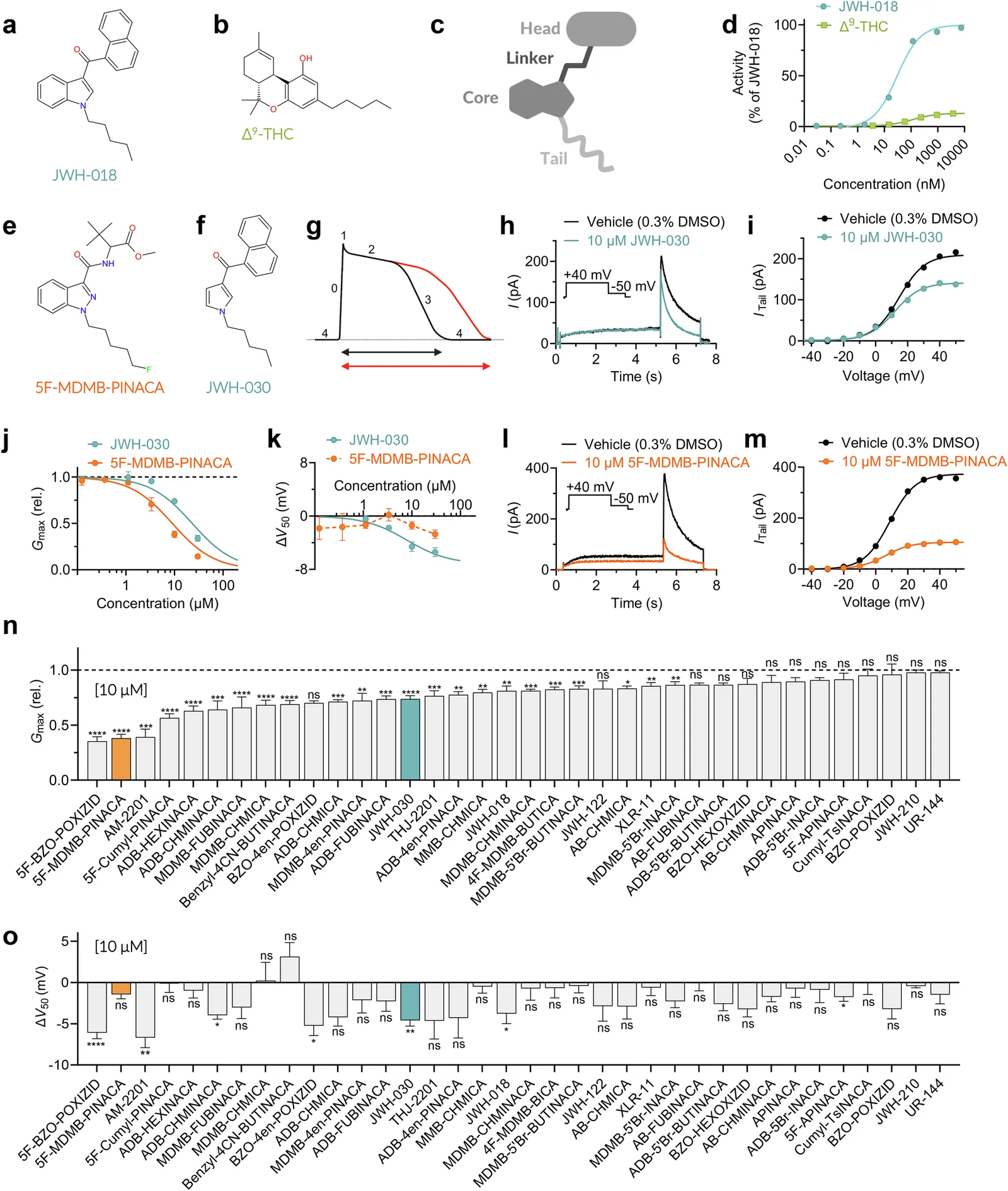 The majority of tested SCRAs inhibit hERG.Chemical structure of the SCRAs JWH-018 (a) and Δ9-THC (b). c Schematic illustration of the division of a generic SCRA into four key building blocks: the head, linker, core, and tail. d CB1 receptor activation of JWH-018 (n = 3) and Δ9-THC (n = 3), where data are normalized to the maximal response of JWH-018 (used as reference), arbitrarily set at 100%. Chemical structures of the SCRAs 5F-MDMB-PINACA (e) and JWH-030 (f). g Schematic illustration of an action potential from a ventricular cardiomyocyte, with its five phases (0-4) indicated, where phase 3 represents the repolarization phase. The solid black line represents an action potential under normal conditions, the solid red line represents action potential prolongation due to compromised repolarization (e.g., reduced IKr or IKs). Representative effect of JWH-030 on hERG using the voltage protocol shown as inset (h), with corresponding G(V) curve (i). Concentration-response relationship for Gmax (rel) (j) or V50 (k) effect of JWH-030 and 5F-MDMB-PINACA. n = 6-8 for JWH-030; n = 4-17 for 5F-MDMB-PINACA. l, m Same as in (h, i) but for 5F-MDMB-PINACA. Average effect of 10 µM of the indicated SCRAs on Gmax (n) and V50 of hERG (o). n = 3-13. Statistical comparisons were performed versus time-matched vehicle controls. For comparisons involving a single compound versus vehicle, Welch’s t-test was used. For comparisons involving multiple compounds sharing the same vehicle control, one-way ANOVA (no matching) followed by Dunnett’s multiple comparisons test was applied. Statistics denote adjusted P-values for comparisons to vehicle: P < 0.05 (*), P < 0.01 (**), P < 0.001 (***), P < 0.0001 (****). All average data are shown as mean ± SEM. Small error bars are covered by symbols. Best-fit parameters are provided in SI Table II; quality control criteria for fits are summarized in SI Table III.