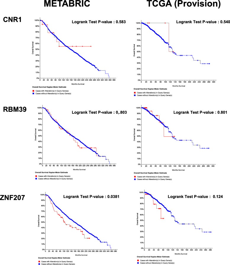 Overall survival related to the genetic alterations in CNR1, RBM39, and ZNF207 across breast cancer patients using a study from METABRIC and TCGA (Provision), analyzed by cBioportal