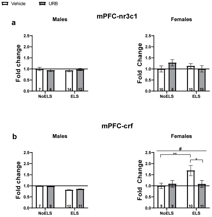 Chronic URB597 treatment during late adolescence ameliorates ELS-induced changes in stress-related gene expression in the mPFC. (a) No significant differences were found in nr3c1 expression in either males (left) or females (right). (b) In males (left), no significant differences were found in crf expression. In females (right), URB treatment normalized the ELS-induced crf upregulation. ELS: early life stress; mPFC: medial prefrontal cortex; URB: URB597. *, p < 0.05; **, p < 0.01 indicate statistically significant effects followed by post hoc comparisons; #, p < 0.05 indicate statistical significance in main effects.