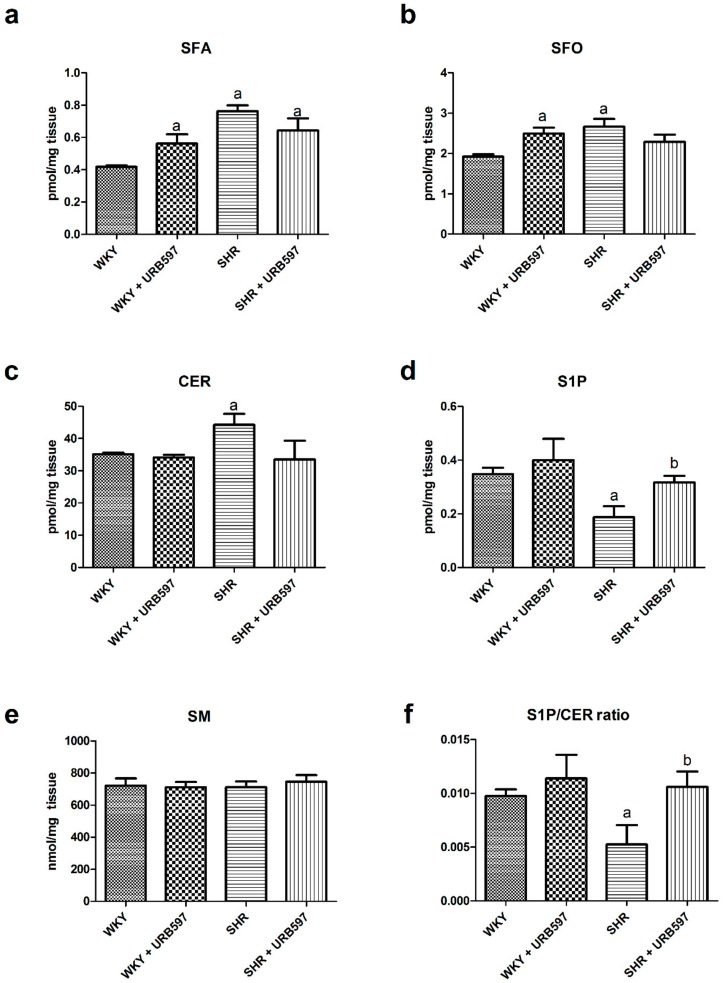 The effect of chronic URB597 treatment on the left ventricle content of sphinganine—SFA (a), sphingosine—SFO (b), ceramide—CER (c), sphingosine-1-phosphate—S1P (d), sphingomyelin—SM (e) and sphingosine-1-phosphate/ceramide ratio (f) in control Wistar Kyoto rats (WKY) and spontaneously hypertensive rats (SHRs). The data are expressed as the mean ± SD, n = 6 in each group. a P < 0.05 significant difference: control group (WKY) vs. examined group; b P < 0.05 significant difference: SHR vs. SHR + URB597.
