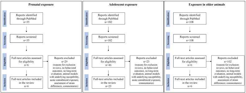 Academic database search of published literature between 2015 and December 2021 related to the long-term effects of cannabinoid exposure on cognition in the prenatal period, during adolescence, and in older animals.