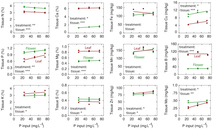 The effect of P input on tissue nutrient content at harvest after eight weeks of reproductive growth. Red lines represent leaf tissue; green lines represent flower tissue. Each point represents the average of plants in three separate containers that shared a common leachate collection tray. Significance codes for P treatment and tissue are as follows: *p < 0.05, **p < 0.01, ***p < 0.001. There was no interaction between P treatment and tissue for any element, so no significance codes are shown.