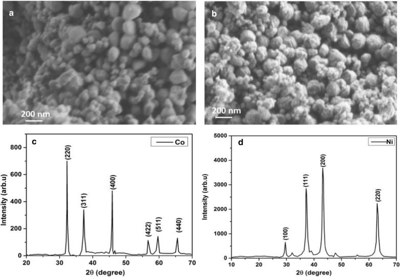 Structural analysis of nanocatalysts: a SEM micrograph of Co nanocatalyst; (b) SEM micrograph of Ni nanocatalyst; c XRD spectra of Co of nanocatalyst; d XRD spectra of Ni nanocatalysts