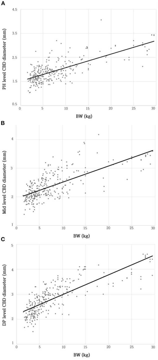 Relationship between BW and CBD diameter at PH level (A), Mid-level (B), and DP level (C). There were moderate linear positive correlations between BW and CBD diameter at each level. BW, body weight; CBD, common bile duct; DP, duodenal papilla; Mid, mid-portion; PH, porta hepatis.