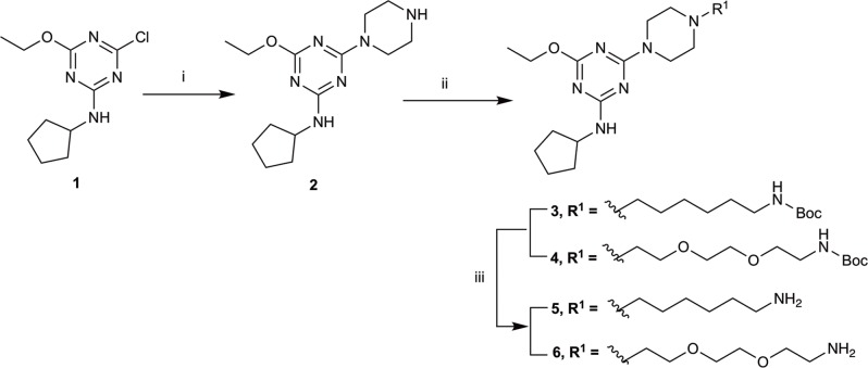 Synthesis of N-cyclopentyl series. (i) piperazine, N,N-diisopropylethylamine, THF, reflux, 12 h, 48%; (ii) tert-butyl N-(6-bromohexyl) carbamate or tert-butyl N-{2-[2-(2-bromoethoxy)ethoxy]ethyl}carbamate, K2CO3, NaI, dioxane, reflux, 24 h, 66–72%; and (iii) CH2Cl2, trifluoroacetic acid, 78–96%.