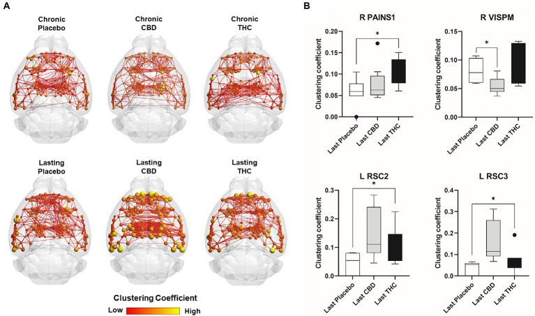 Regional differences in clustering. Regional differences in clustering coefficient following chronic placebo, CBD, or Δ9-THC over 28 days (chronic) and after a 2-week washout period (lasting). (A) Connectome maps of a mouse functional network highlighting mean clustering coefficient across groups. Spheres represent scaled area under the curve (AUC) values for clustering coefficient calculated over several edge density thresholds (2–40%). Size and color intensity of spheres reflect high-to-low values (see scale bar). Lines between nodes represent pairwise connectivity between nodes (these are shown at edge density of 6% for visual clarity). (B) Clustering coefficient values for chronic treatment mice (calculated at a 16% edge density threshold). Clustering coefficient values for post-washout period (calculated at a 16% edge density threshold). Clustering coefficient values for post-washout period (calculated at a 16% edge density threshold). Data are shown as mean ± standard error (two-way ANOVA with repeated measures, post-hoc t-tests with FDR q = 0.05, p < 0.05). Abbreviations: R PAINS1, right posterior agranular insula node 1; R VISPM, right posteromedial visual cortex; L RSC2/3, Left retrosplenial cortex nodes 2 and 3.