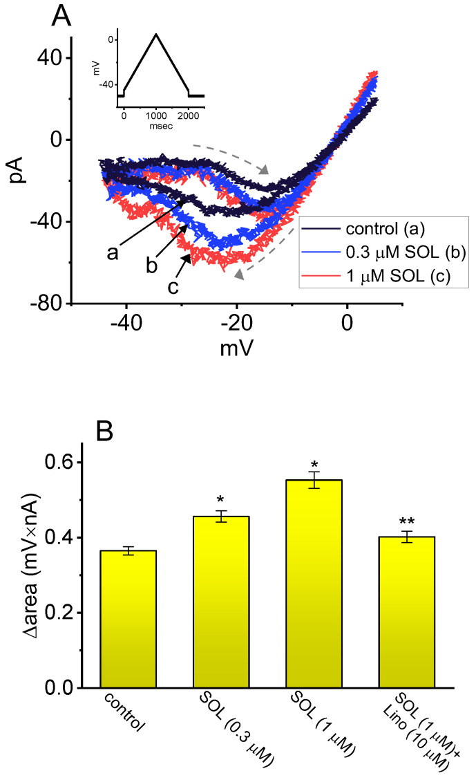 Stimulatory effect of SOL on voltage-dependent hysteresis (Hys(V)) of IK(M) in GH3 cells. This series of experiments was conducted with an isosceles-triangular Vramp. (A) Representative current traces evoked by isosceles-triangular Vramp for a duration of 2 s obtained in the control period (a, black) and during the exposure to 0.3 μM SOL (b, blue) or 1 μM SOL (c, red). The dashed arrows indicate the distinctive patterns of current trajectory by which time passes as Vramp is applied. The voltage-clamp pulse is illustrated in inset at the left upper corner. (B) Hysteretic area (i.e., Δarea of IK(M)’s Hys(V) obtained in control period (i.e., SOL was not present) or during exposure to SOL and SOL plus linopirdine (Lino). The area encircled by current amplitudes activated in the ascending and descending limbs at the voltages between −45 and 0 mV was calculated. Each bar indicates the mean ± SEM (n = 7 for each bar). The * symbol indicates statistical significance when compared to the control group (p < 0.05), while ** denotes statistical significance when compared to the SOL (0.3 μM) alone group (p < 0.05). This figure is adapted from Cho et al. [21] and published under the terms and conditions of the Creative Commons Attribution (CC BY) license.