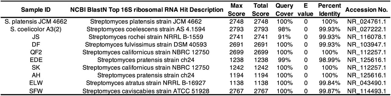 Top NCBI BlastN hits of the 16S rRNA gene sequences.