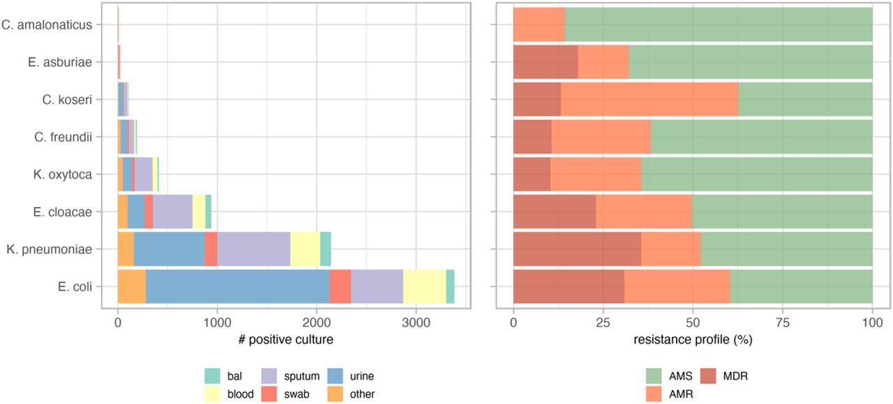 Frequency of positive culture and resistant profile for each Enterobacteriaceae family. Only species with more than 5 positive cultures are shown. Bal: bronchoalveolar lavage.