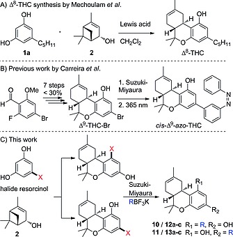 A) Synthesis of (–)‐trans‐Δ8‐THC using (–)‐verbenol (2) and olivetol (1a) by Mechoulam et al.;9 B) Synthesis of (–)‐trans‐Δ9‐THC‐Br using multistep synthesis by Carreira et al.;10 C) Our revised modular synthesis of (–)‐trans‐Δ8‐THC derivatives.