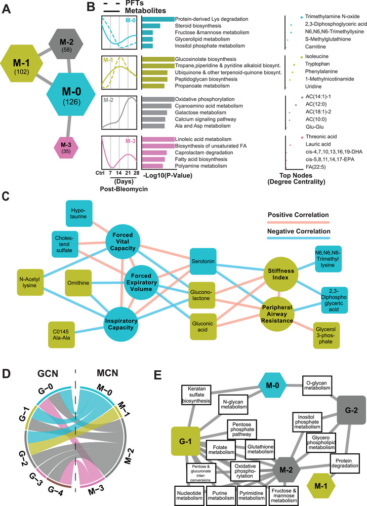 Metabolite Correlation Network (MCN) analysis. A) Four subnetworks with distinct network architectures were detected in the MCN with node size proportional to their average local transitivity in the network (numbers in the bracket denoted the total number of metabolites and PFTs in each subnetwork). B) The detailed view of each subnetwork, including the median trajectory of the metabolites and PFTs in control and four post‐bleomycin time points, associated metabolic pathways, and top metabolite nodes, based on the degree centrality, of each subnetwork. C) The top 10 highest correlated MCN nodes to pulmonary functions. D) GCN and MCN clusters were integrated based on their metabolic subsystems based on mouse metabolic models retrieved from https://metabolicatlas.org. E) Metabolic subsystems connecting two main GCN clusters (G‐1 and G‐2) to the MCN clusters.