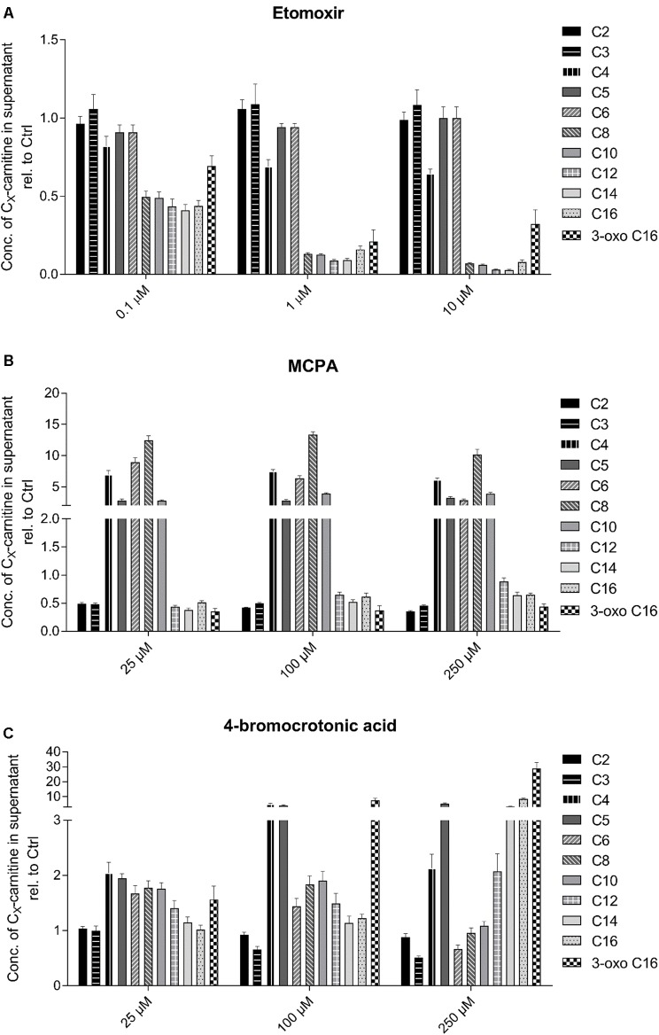 Effect of (A) etomoxir, (B) MCPA, and (C) 4-BCA on the acylcarnitine pattern in the supernatant of HepG2 cells. Acylcarnitines were analyzed in the supernatant of HepG2 cells treated with the compounds of interest for 24 h using LC-MS/MS as described in the section “Materials and Methods.” Results were normalized to the values obtained in DMSO 0.1% exposed control cells. Values are expressed as mean ± SEM.