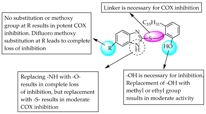 Structure-Activity Relationships (SARs) of anacardic acid-conjugated benzimidazole derivatives.