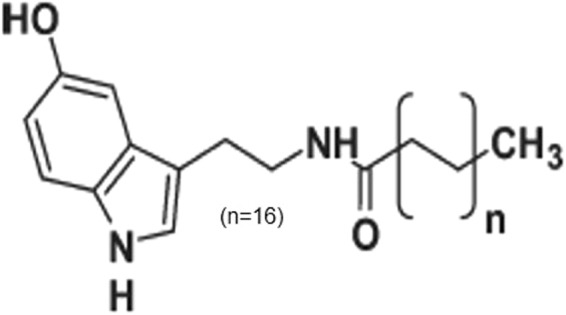 Structure of βN-octadecanoyl-5-hydroxytryptamide (C18 5-HT).