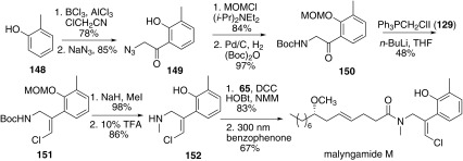 Synthesis of malyngamide M reported by Cao [64]