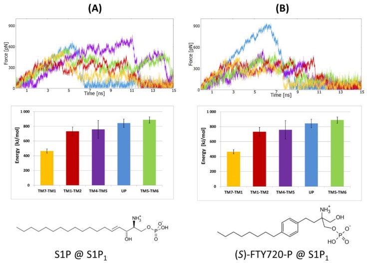 SMD simulations of two orthosteric agonists pulling from the same S1P1 receptor crystal structure (PDB ID: 3V2Y); (A) sphingosine-1-phosphate (S1P) ligand; (B) (S)-FTY720-P ligand. The panel layout and the meaning of colors the same as in Figure 3.