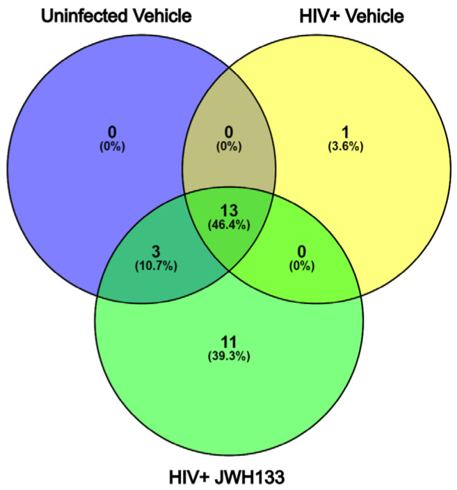 Venn diagram of protein identification from HIV-infected MDM secretome exposed to JWH-133. From 528 total proteins identified in the three groups in triplicate, those with more than 3 unique peptides and more than 10% sequence coverage were selected for protein identification. Only proteins found common to each triplicate group were selected for comparison between the groups. Of these, one unique protein was found in HIV-infected MDMs, while 11 unique proteins were found in HIV-infected MDMs exposed to the CB2R agonist JWH-133. Thirteen (13) proteins were found common to the three groups.